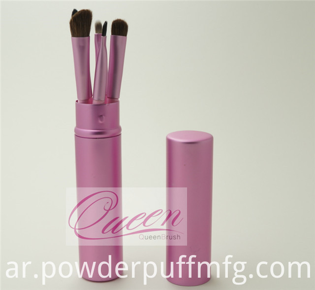 2015 New Style 5PCS Pink Eyeshadow Makeup Brush Set